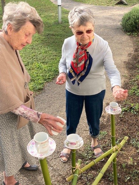 🌺Projet Jardin : Les dernières réalisations 🍀🍃🎋